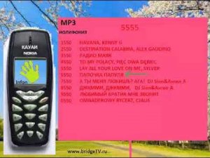 Рекламa (Bridge TV, 04.2008) (MP3, INFON, 5555)