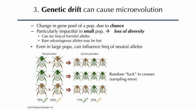Population Genetics: Mechanisms of Microevolution смотреть онлайн