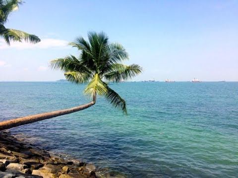 Singapore Travel Vlog | Sentosa Island | СИНГАПУР 2016 | GoPro Hero 4 смотреть онлайн