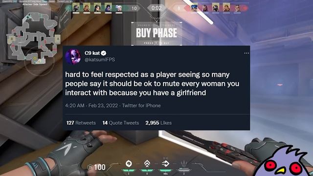 Popular Valorant Streamer Accused of SEXISM for Dodging and Muting Female Players смотреть онлайн
