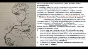 Основные проводящие пути спинного и головного мозга за 26 минут