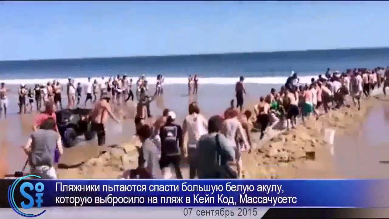 Климатические изменения * 2024 * Climate change смотреть онлайн