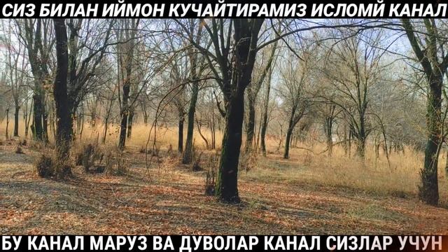 МАНА ХИЖОБЛИ ҚИЗЛАР АХВОЛИ 🧕🔞❌ ВОТ СМУЩАЮЩИЕ ДЕВУШКИ Шукуруллох домла солихон смотреть онлайн