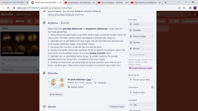 7. SINIF MİTOZ BÖLÜNME смотреть онлайн