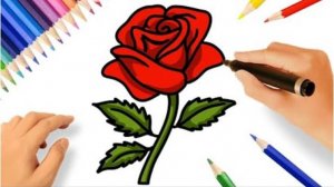 Как нарисовать розу