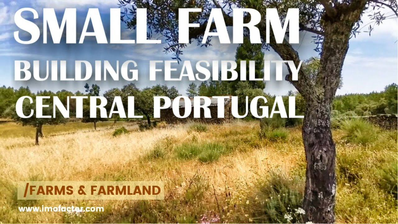 🔆 Small FARM for Sale / BUILDING FEASIBILITY / Central Portugal | Unavailable смотреть онлайн