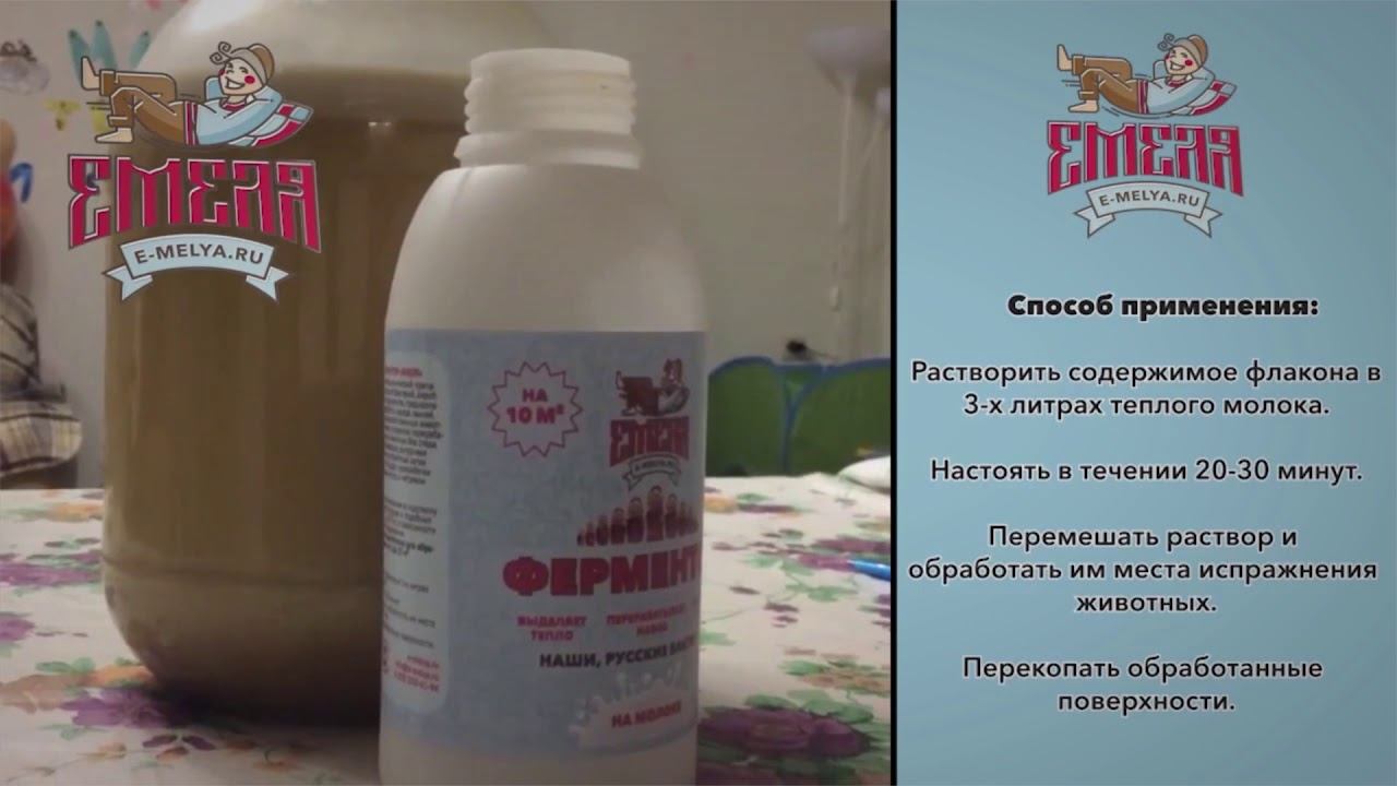 Наши русские бактерии: Ферментор Емеля смотреть онлайн