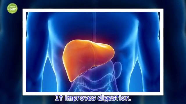 Canary Seed Milk: What It Is and How to Make It - Australia 360 смотреть онлайн