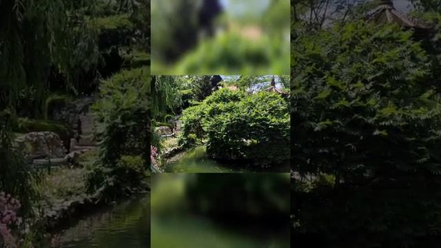 Шикарное место для фотосессии. Замок Раводиново, Созополь. смотреть онлайн