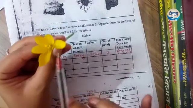 Flora & Fauna - Online Classes - EVS Lesson, Class IV, 23 July 2020 - Ms. Bhawna Dewangan смотреть онлайн