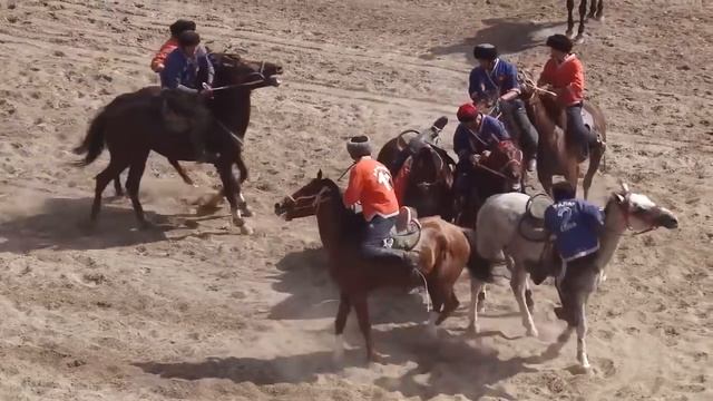 Талас Арашан  Президенттин кубогу 2016  #кокбору #kokboru