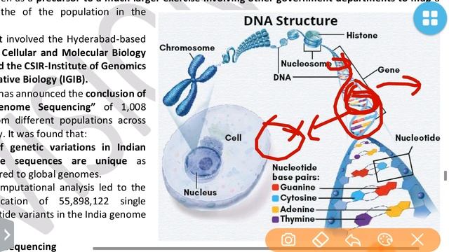 Vision Ias October 2020-Genome sequencing (Sci n tech)Current Affairs):UPSC/STATE_PSC смотреть онлайн
