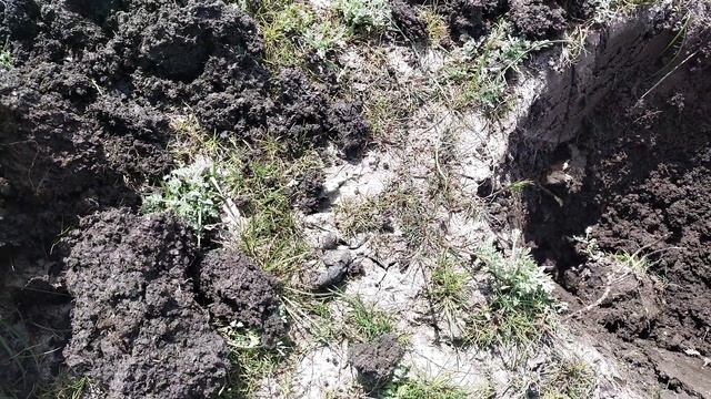 Хроники копа 01.05.2021 смотреть онлайн
