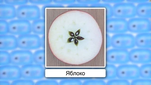 6й кл. Плод. смотреть онлайн