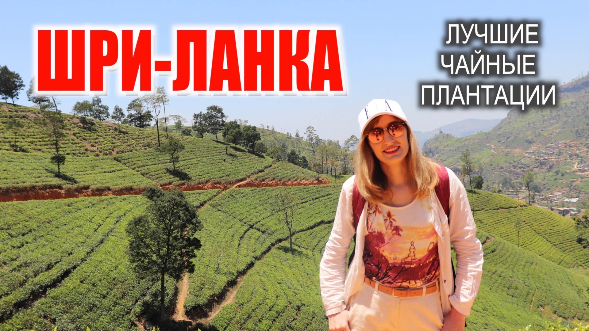 Как выращивают чай, который мы пьём: лучшая плантация Шри-Ланки смотреть онлайн