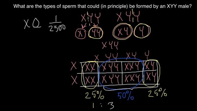 XYY syndrome explained смотреть онлайн