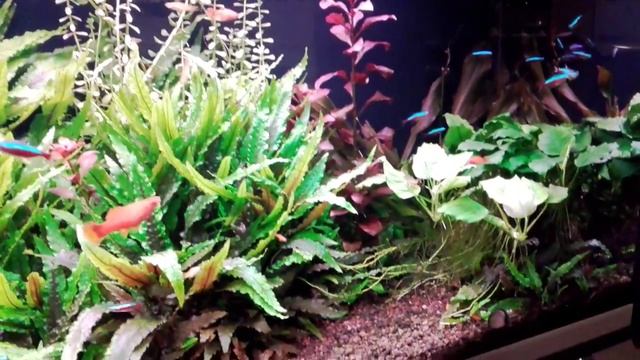 aludekor 120 смотреть онлайн