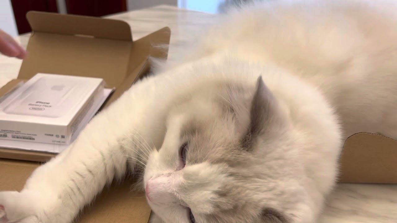 Apple  Magsafe Battery Pack（Magsafe 外接电池）unboxing