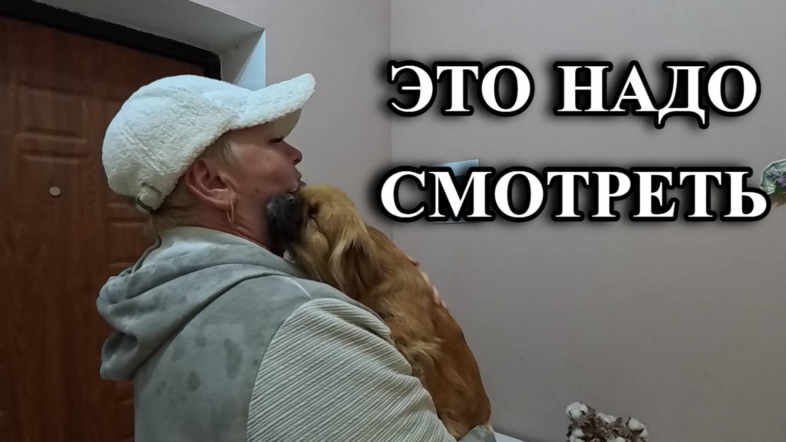 725ч Обзор наших покупок/Жизнь после переезда/Купили дом на юге смотреть онлайн