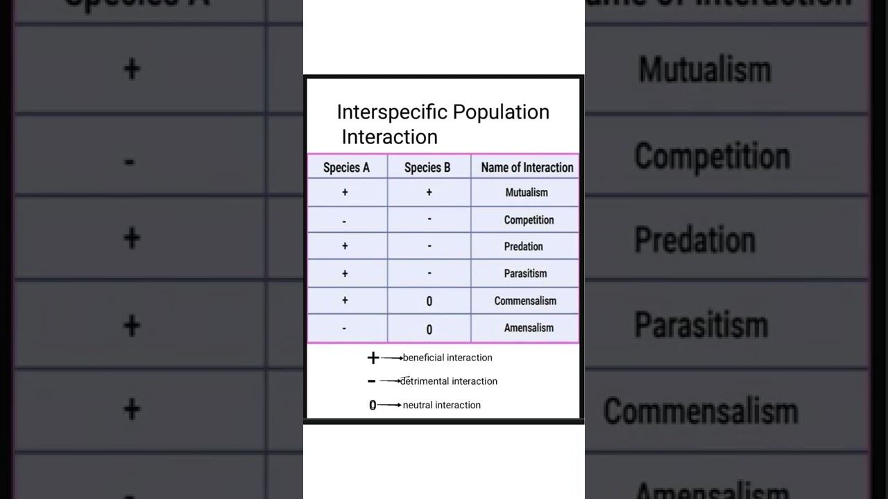 population interaction #short videos neet смотреть онлайн