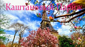 Каштановый  Париж