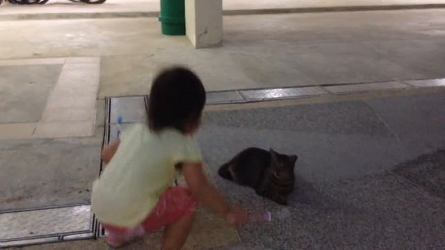 Chasing the Cat (Part 8) - Bernice Amper смотреть онлайн