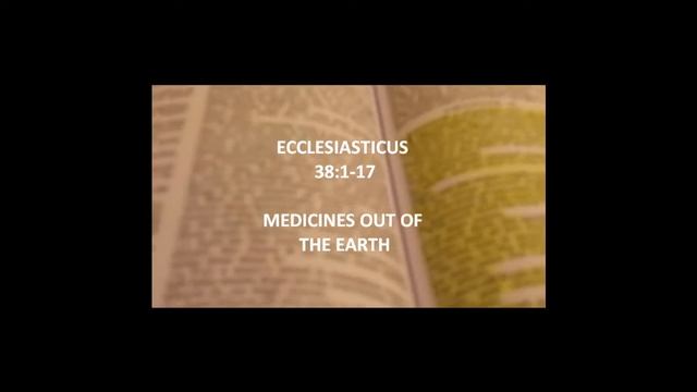 12 TRIBES OF ISRAEL: SICKNESS A RESULT OF SIN PT 4 смотреть онлайн