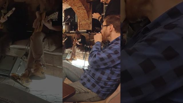 Харп сбор 7 ноября 2024