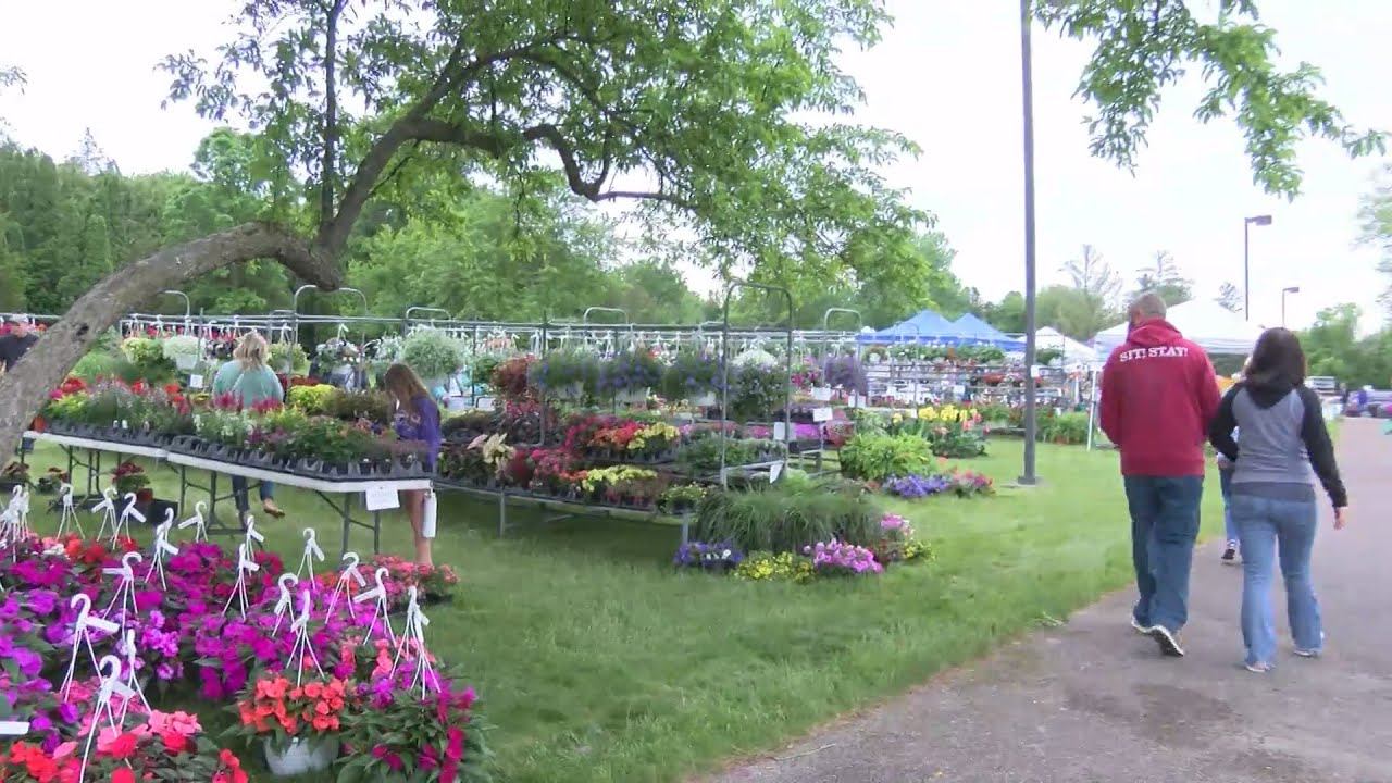 Klehm Arboretum 'going green' with new solar power system смотреть онлайн
