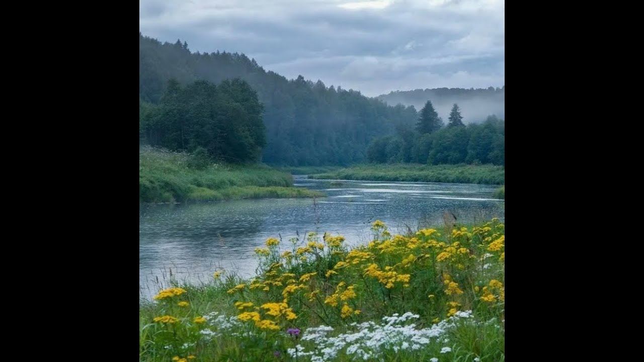 Век смотреть онлайн