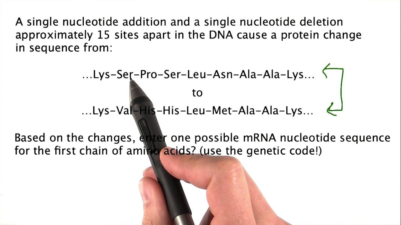 Problem 3 - Tales from the Genome смотреть онлайн