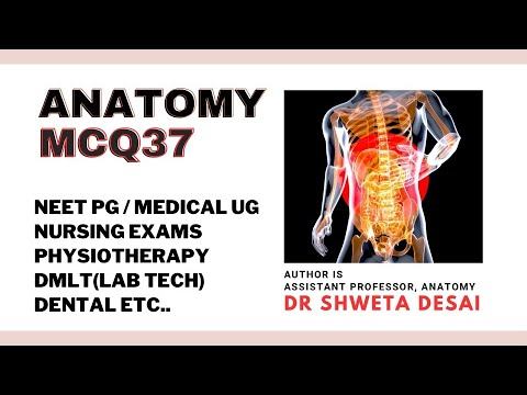QUICK | ANATOMY MCQ | 37 | PG NEET |#anatomy #neet #anatomymcq смотреть онлайн
