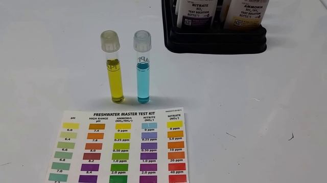 NH3, NH4 and NO2 Test After Canister Filter Install смотреть онлайн