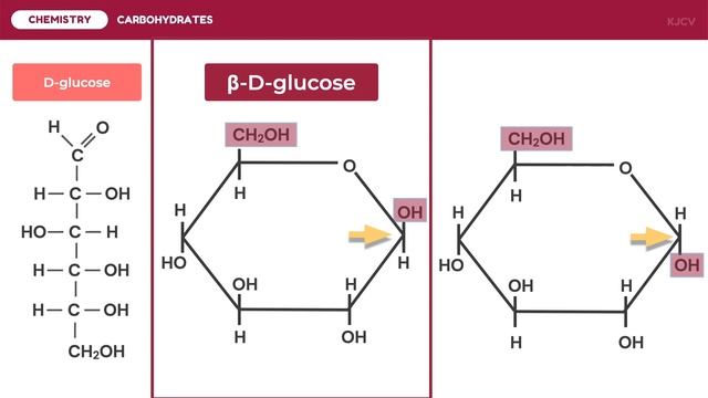 Carbohydrates смотреть онлайн
