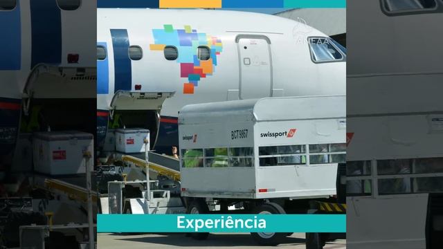 Aeroportos associados à ANEAA distribuem vacinas смотреть онлайн