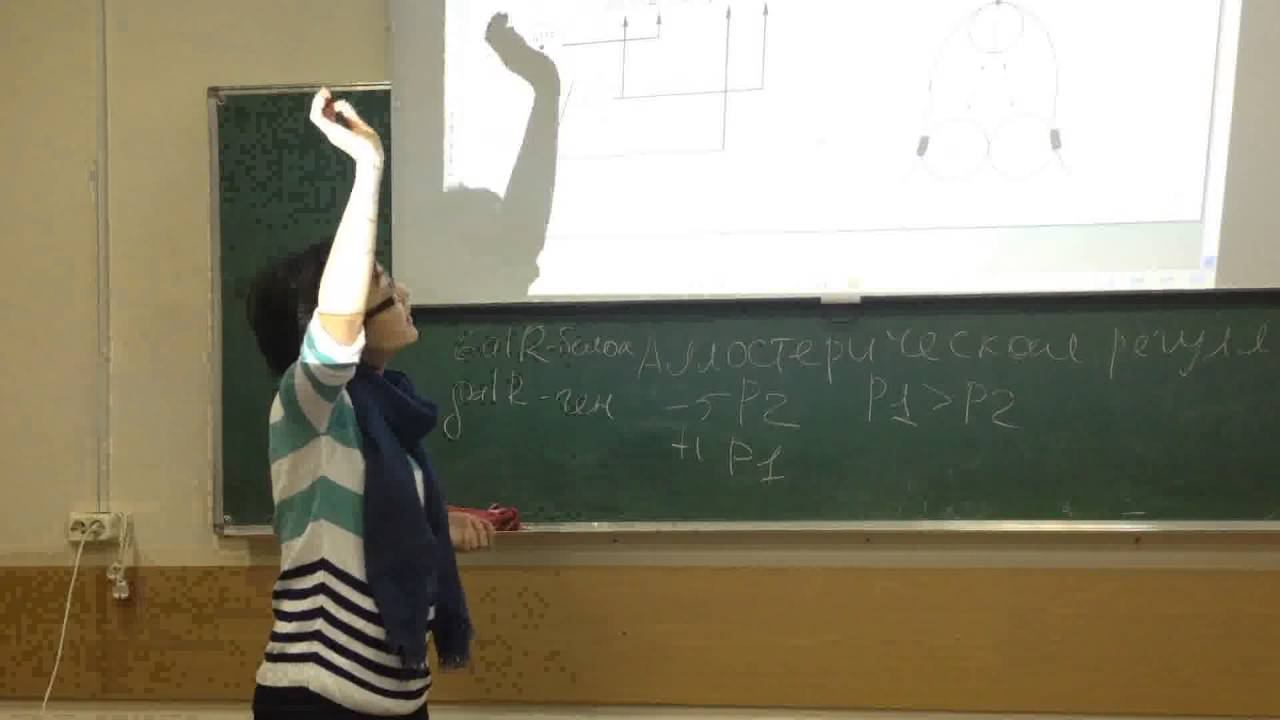 Молекулярная биология - Лекция 7 - 2 из 3 смотреть онлайн