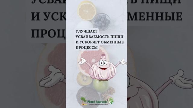 Польза чеснока #аюрвед#yoga #зож #правильноепитание #веды #индия #женскоездоровье #женскиепрактики смотреть онлайн