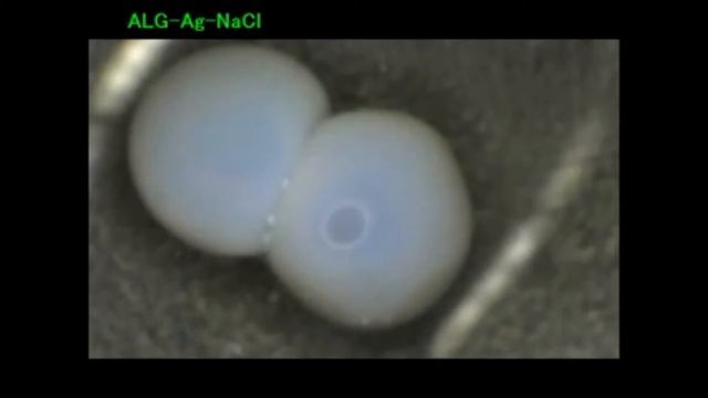 A novel capsule-based self-recovery system with a chloride ion trigger смотреть онлайн