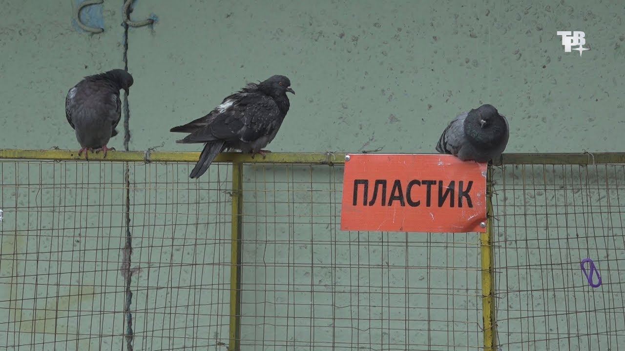 Делим мусор на части смотреть онлайн