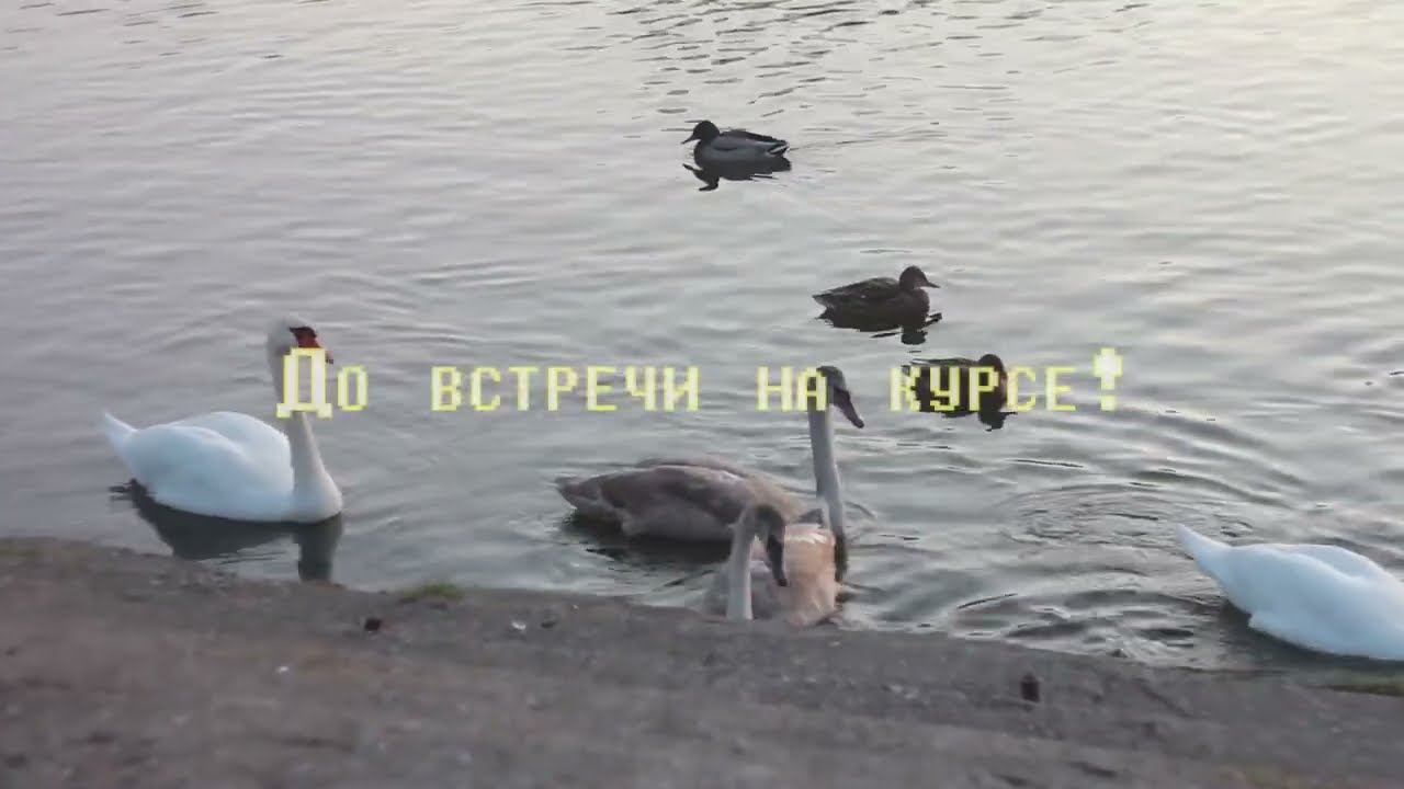 Первый мой курс "Проживая Свой Дизайн" (ливинг) в 2019г. Генераторы и МГ смотреть онлайн