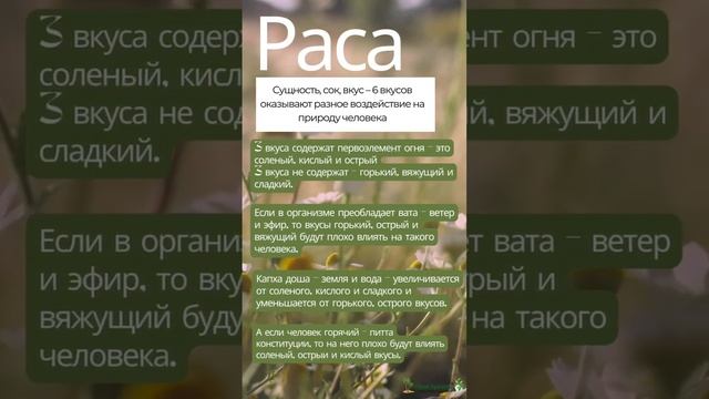 Как лечат травы. Випака, Вирья, Раса, Гуна #аюрведа смотреть онлайн