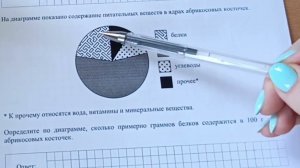 разбор 1 варианта ВПР по математике 7 класс 2024