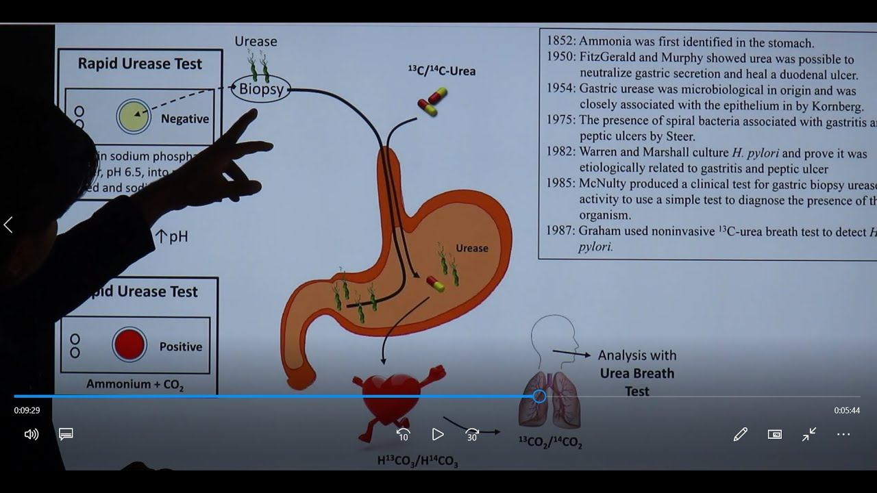 Helicobacter pylori(H. pylori)USMLE Step 1 2021 Microbiology lecture 30 page146 смотреть онлайн