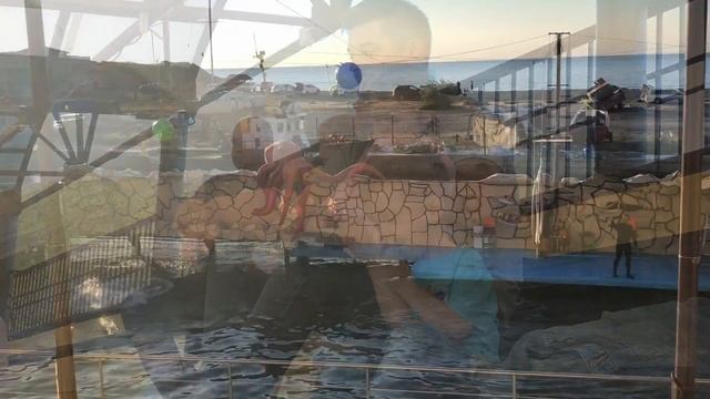 Утриш. Дельфины и море ! смотреть онлайн