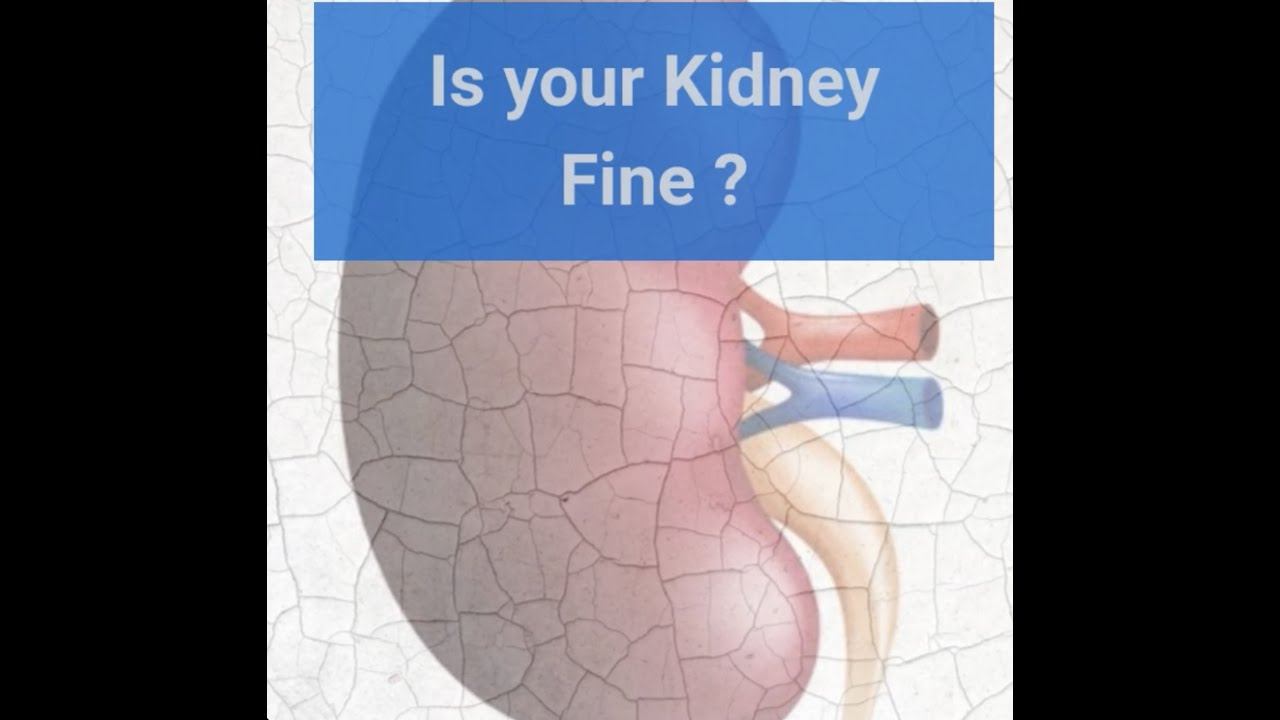 Is your Kidney fine? смотреть онлайн