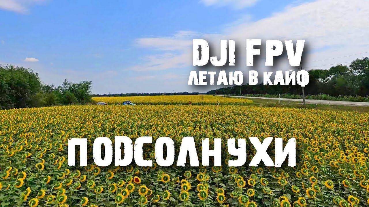 Insta360 One R и DJI FPV смотреть онлайн