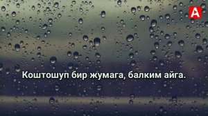 Алтынай Асанбекова - Жамгыр