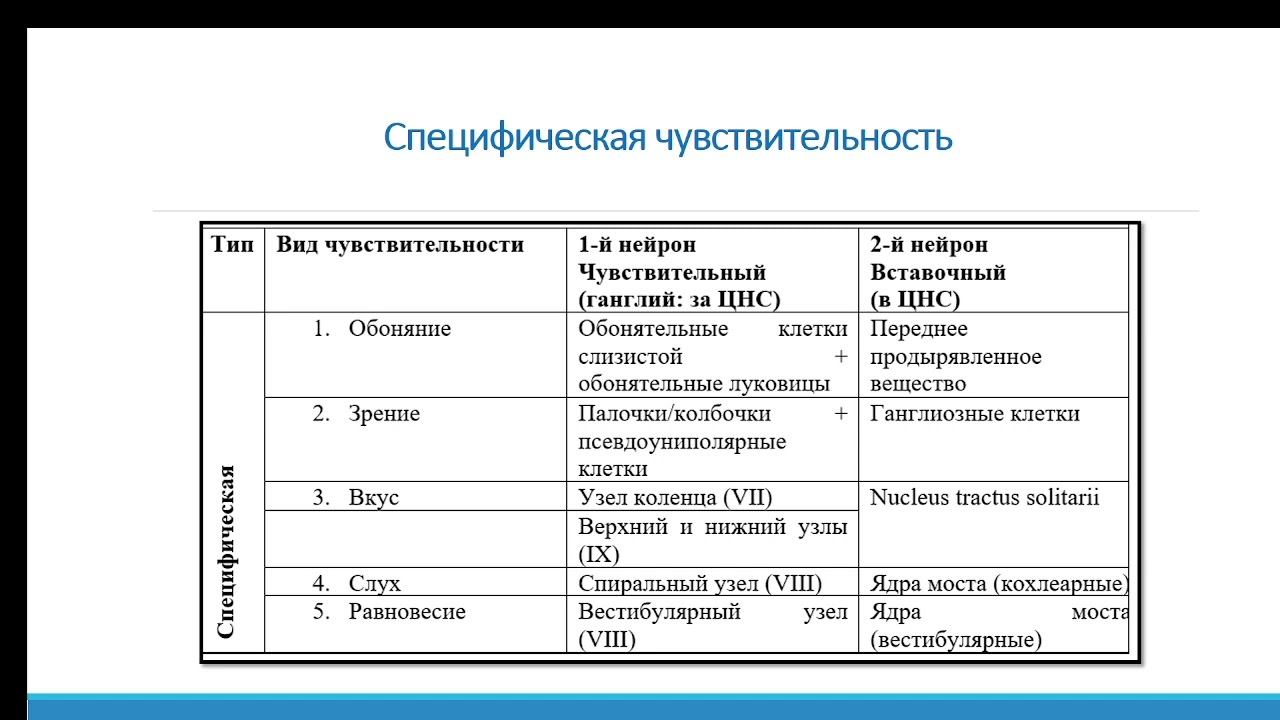 Афферентные пути_Второй нейрон смотреть онлайн
