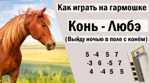 Конь (Выйду ночью в поле с конём) - Любэ | На гармошке