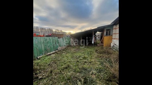 10284492 смотреть онлайн